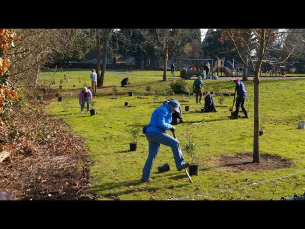 Tree Planting Project in Minnehaha Neighborhood