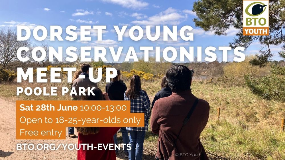 Image of a group of young people looking out over a nature reserve. Wording alongside reads: Dorset Young Conservationists Meet-up. Poole Park. Sat 28th June. 10:00-13:00. Open to 18-25-year-olds only. Free entry. bto.og/youth-events.