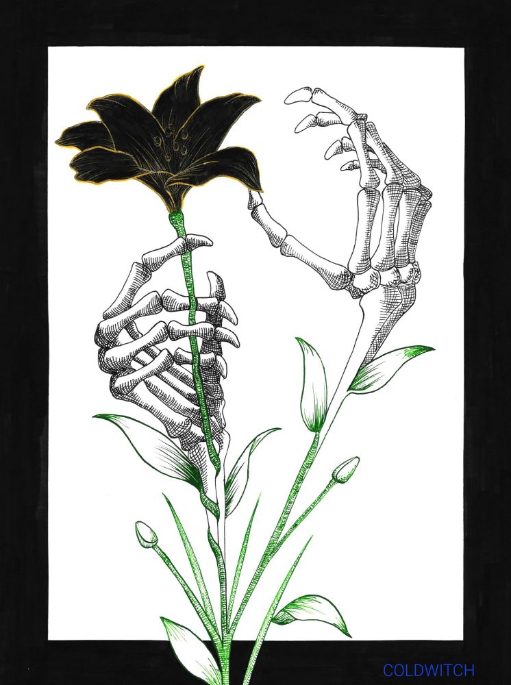 A hand drawn blank and gold lily, growing from the same stem are 2 black and white skeleton hands, one of which is trying to pick the flower