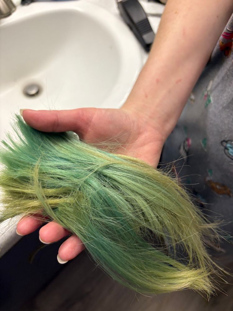 handful of my green hair after being cut from my ponytail 
