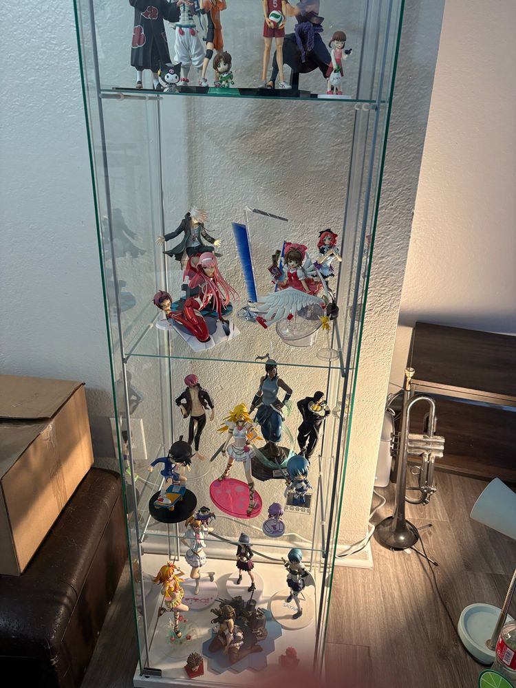 assorted anime figures in a glass shelf 