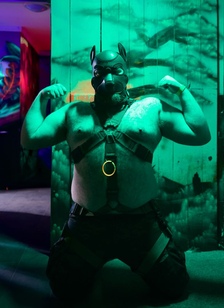 pup silas is on their knees, rearing up and flexing for the camera. they are beautifully cast in vibrant green light, with a neon orange glowstick ring looped through their harness. they are a broad muscle bear of a pup, wearing a full-body harness, military trousers and big heavy combat boots