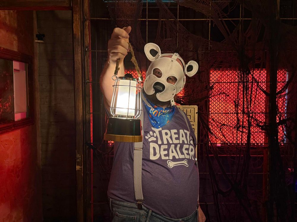 sisco the wonderer peers curiously into his lamp, wondering what secrets it contains