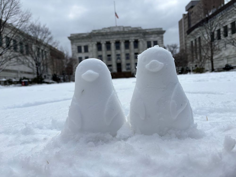 Two penguin sculptures in front of Harvard Medical School, the target of recent extreme NIH budget cuts, which faces an uncertain future.