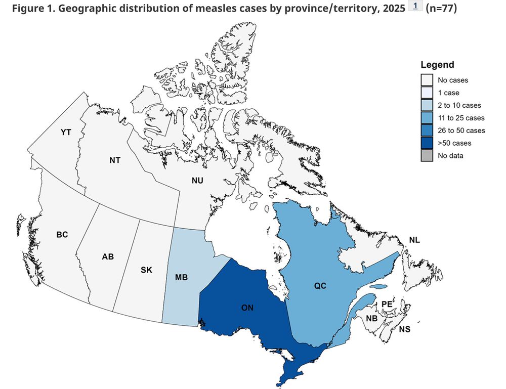 bafkreid2jlmqgzixmknmniv6hbyycsw5mpolb2qef5xj6kid65kmbpydsm@jpeg