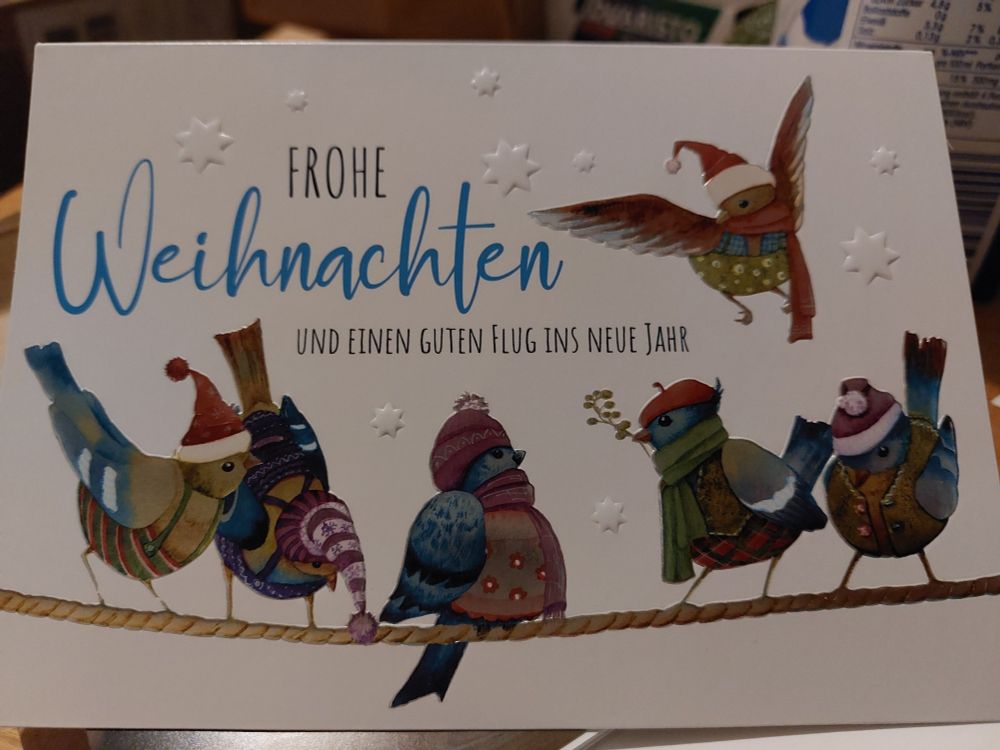 Weihnachtsgrußkarte mit bezaubernden Vögelchen