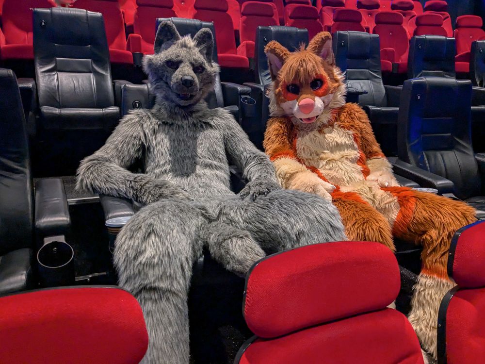A wolf and a Shiba sit together in the movie theater