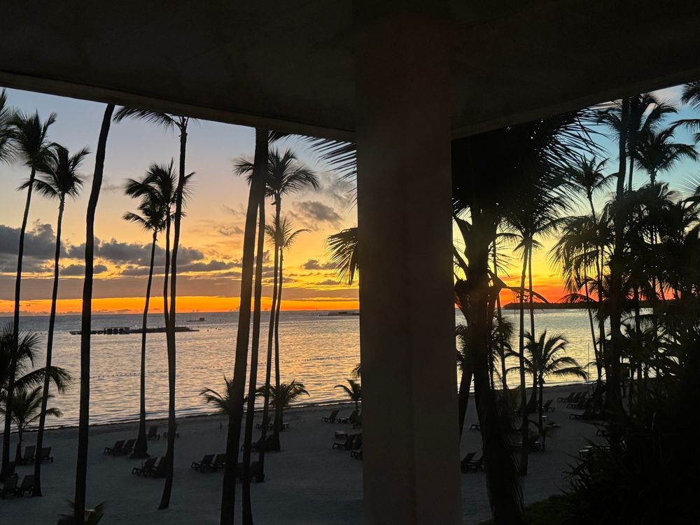 And rosy fingered dawn made an appearance early this am 