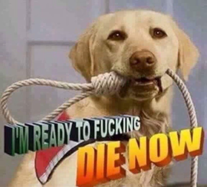 cachorro com corda na boca I'm ready to fucking die now