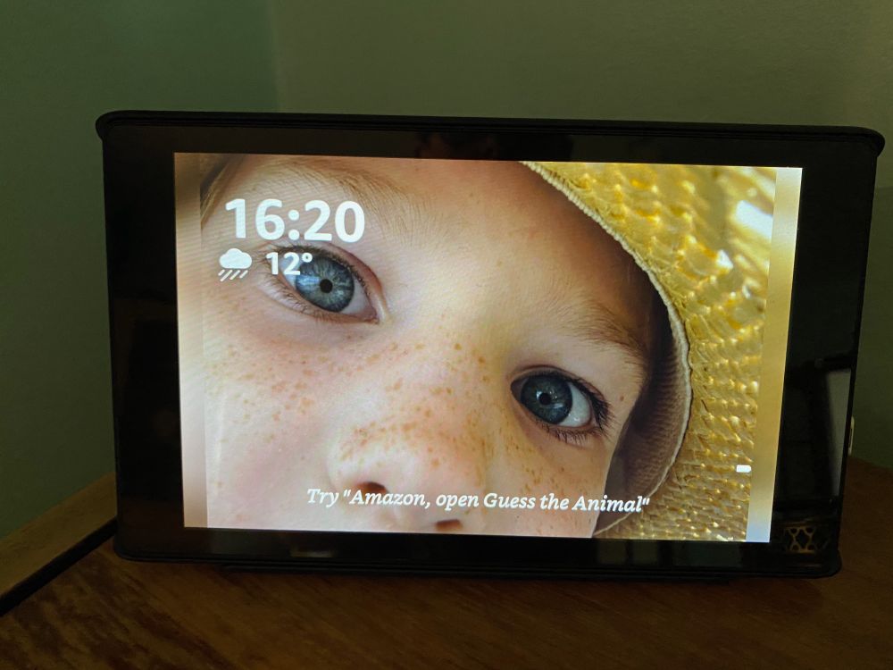 A close up picture of the face of a young boy on a digital photo frame. At the bottom is the text...

Try "Amazon, open Guess the Animal"