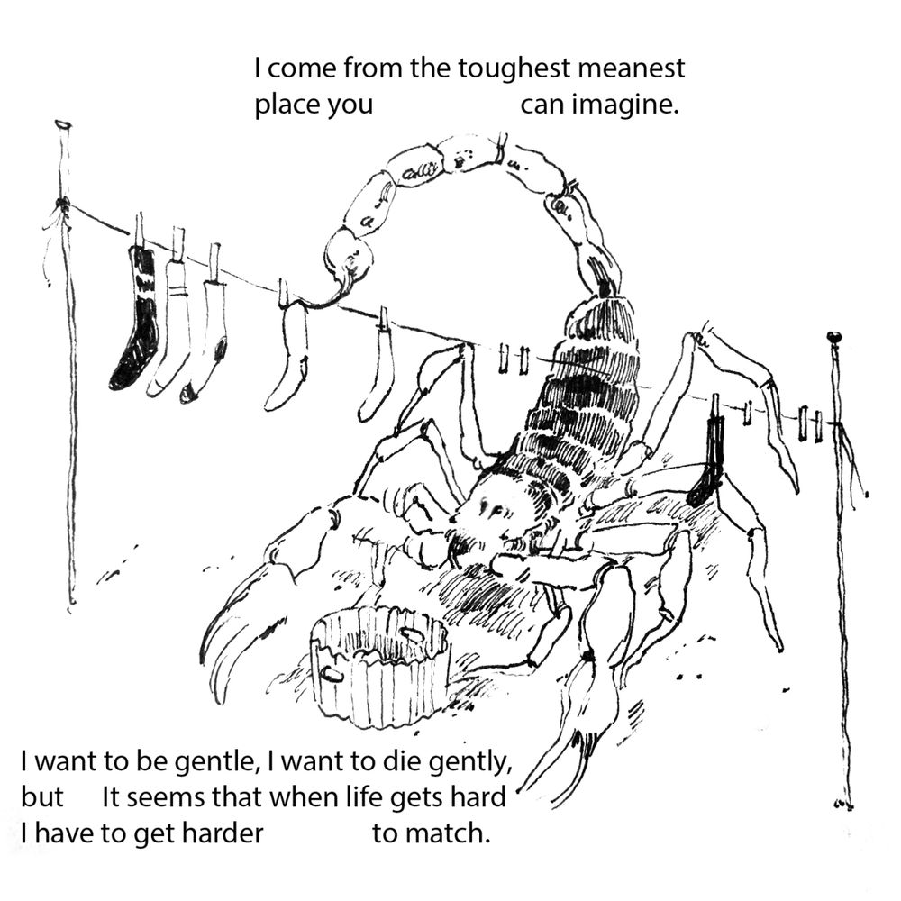 A scorpion doing laundry as well as it can. The text says "I come from the toughest, meanest place you can imagine. I want to be gentle, I want to die gently, but it seems that when life gets hard I have to get harder to match".