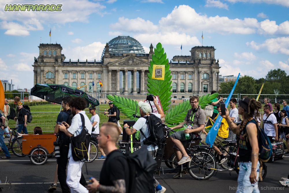 Berlin ruft – wir kommen! 💚 Am 9.8. zeigen wir, wie viele wir sind! Gegen Kriminalisierung, für Aufklärung & Freiheit! #Hanfparade2025 #FürEineZukunftOhneRepression #CannabisIstKeinVerbrechen