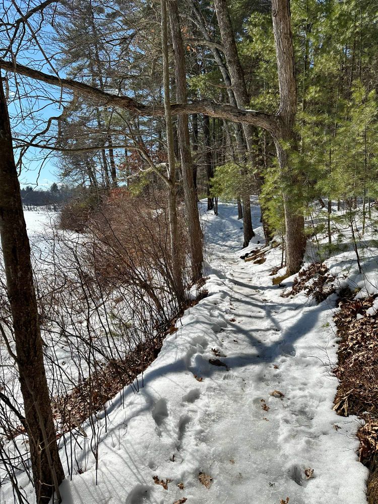 A snowy path among trees with a frozen pond on the left 