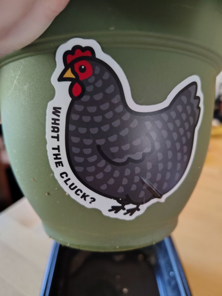 A sticker of a black hen in cartoon style with the words "What the cluck?" On a green plastic plant pot