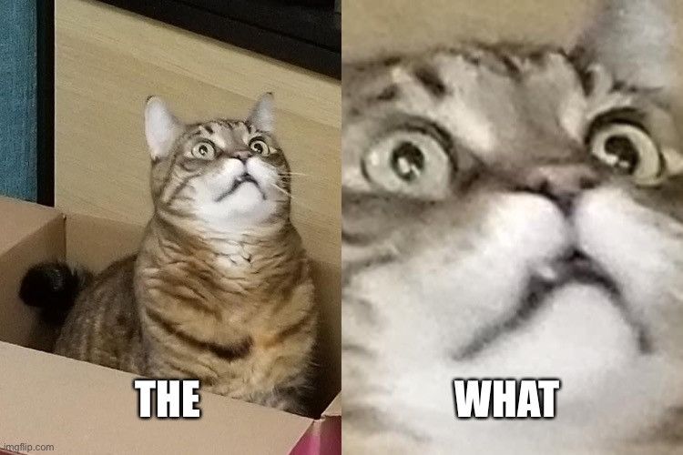 A cat meme saying "The What". The left. Image is of a fat, brown tabby cat with a white chin looking startled. The right image is a close zoom on the cats face, and showing off the snaggle tooth. 