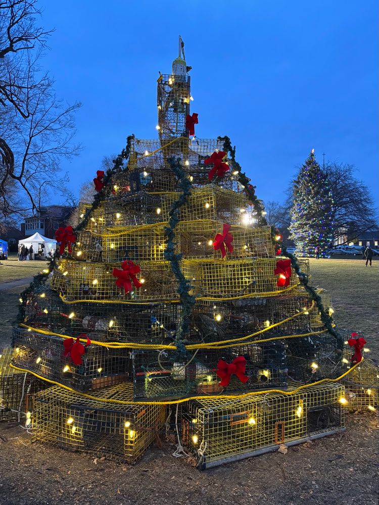 The Christmas tree made of lobster traps, covered in lights and red bows