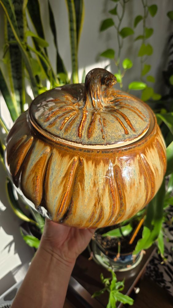Pumpkin jar! 🎃🤎💫                        
#wheelthrown#pottery#art#creativity #functionalpottery#glazingpottery #potterylove#ceramica#homedecor 