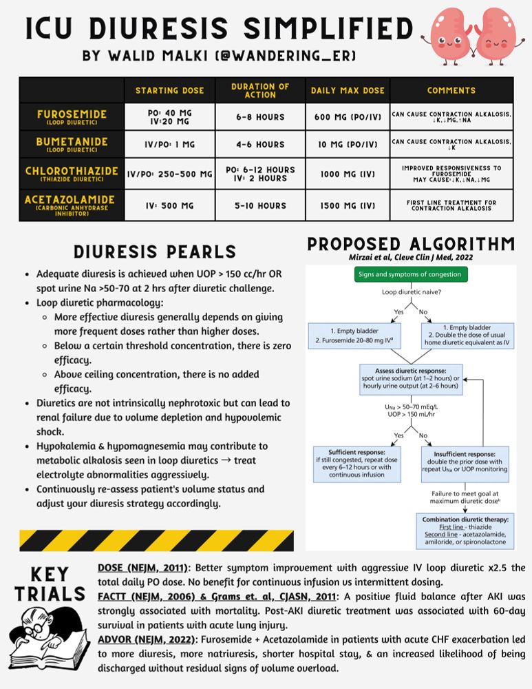 Infographic reviewing main diuretic options in the ICU as well as a proposed algorithm for a diuretic challenge