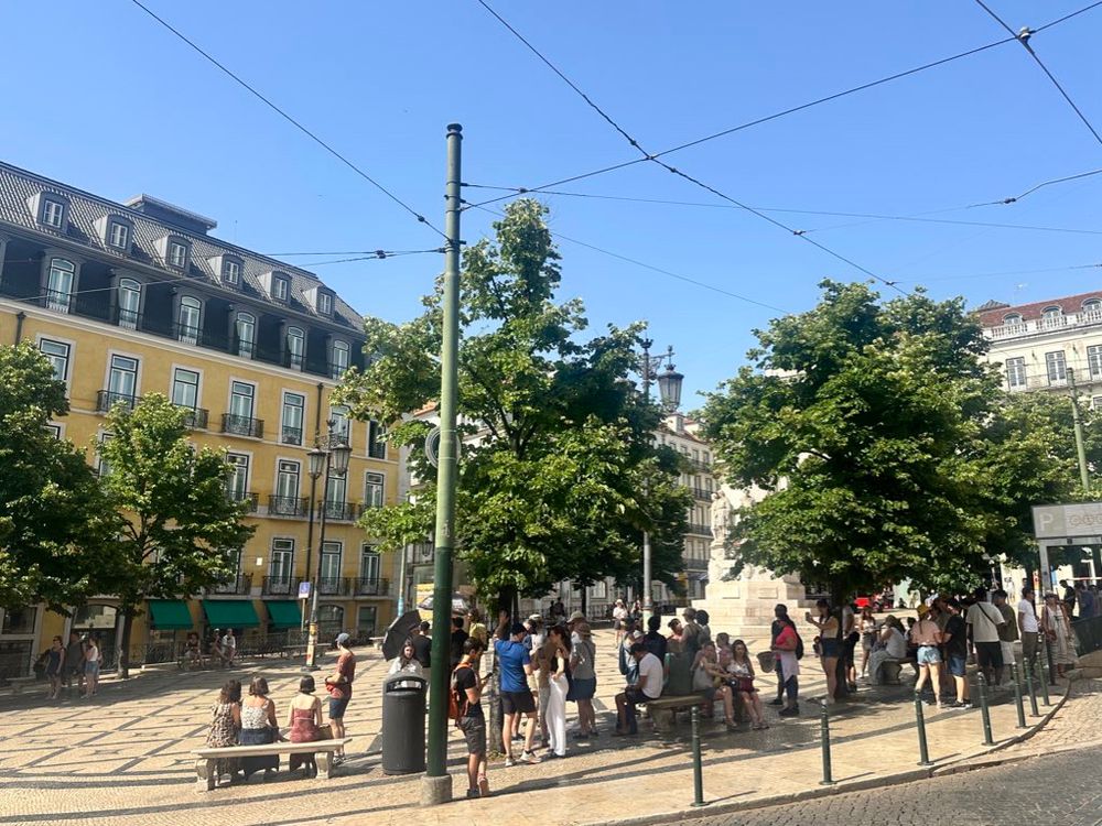 People under trees in Lisbon