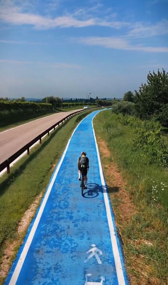 Palù dei Mori (Lago di Garda) cycle lane from above 