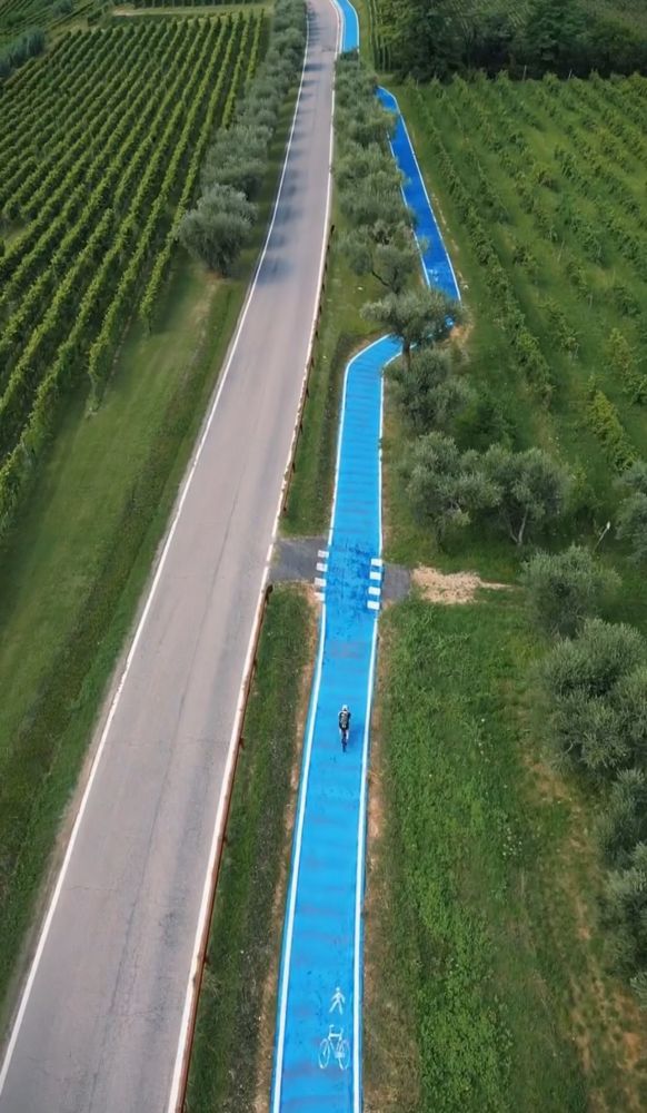 Palù dei Mori (Lago di Garda) cycle lane from above 