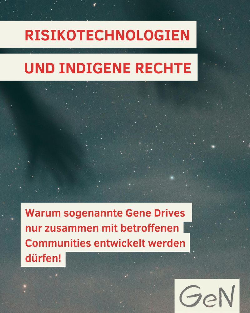 Foto von einem Schatten von zwei Händen vor einem Sternenhimmel. Darauf die Überschrift: „Risikotechnologien und indigene Rechte - Warum sogenannte Gene Drives nur zusammen mit betroffenen Communities entwickelt werden dürfen!“