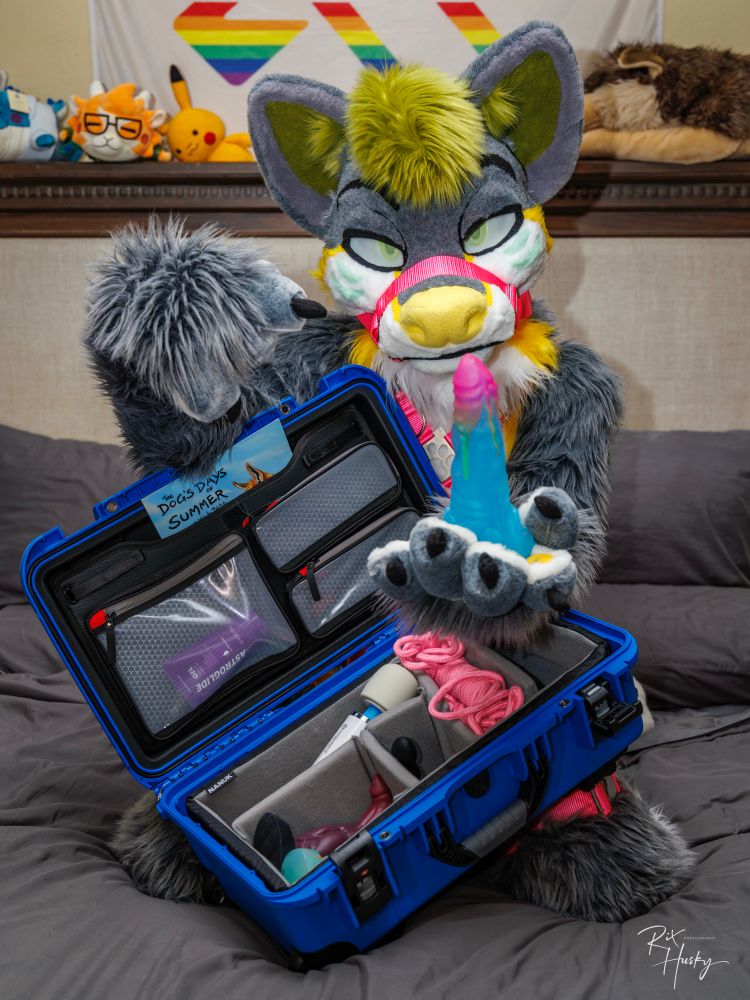 Gray husky fursuiter points at a rainbow colored dildo while also holding a case of various other sex toys
