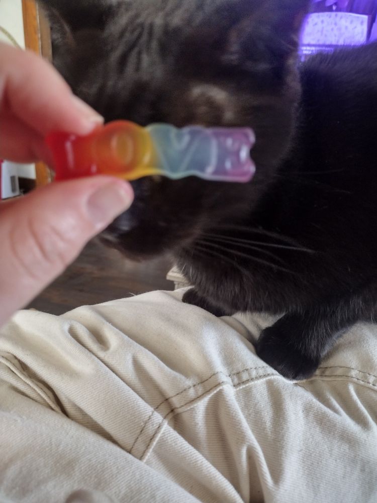 rainbow "LOVE" gummy candy in front of a black cat's eyes