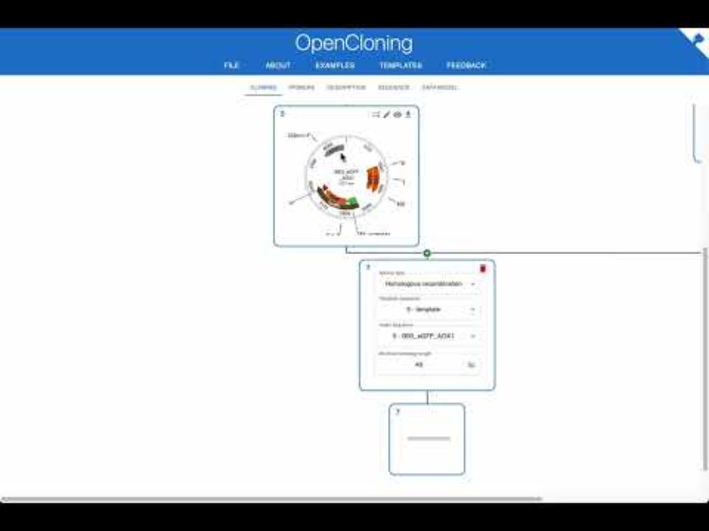 GoldenPiCS with OpenCloning: Step-by-Step MoClo Cloning Tutorial