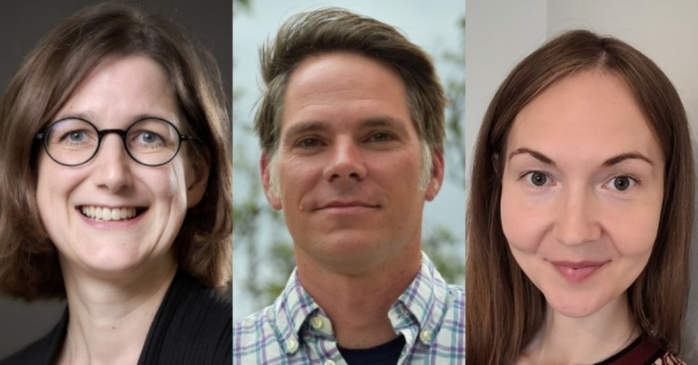 Three Bern researchers receive SNSF Consolidator Grants