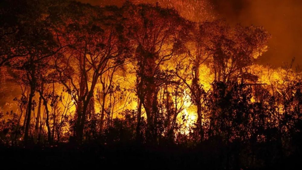 Flávio Dino determina regime de emergência climática para combater incêndios