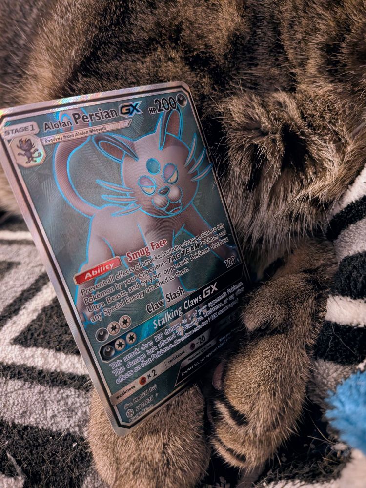 Photo of our tabby kitty cat Luna's paws holding an Alolan Persian pokemon card. She has polydactyl kitten mitten thumbs. meow.