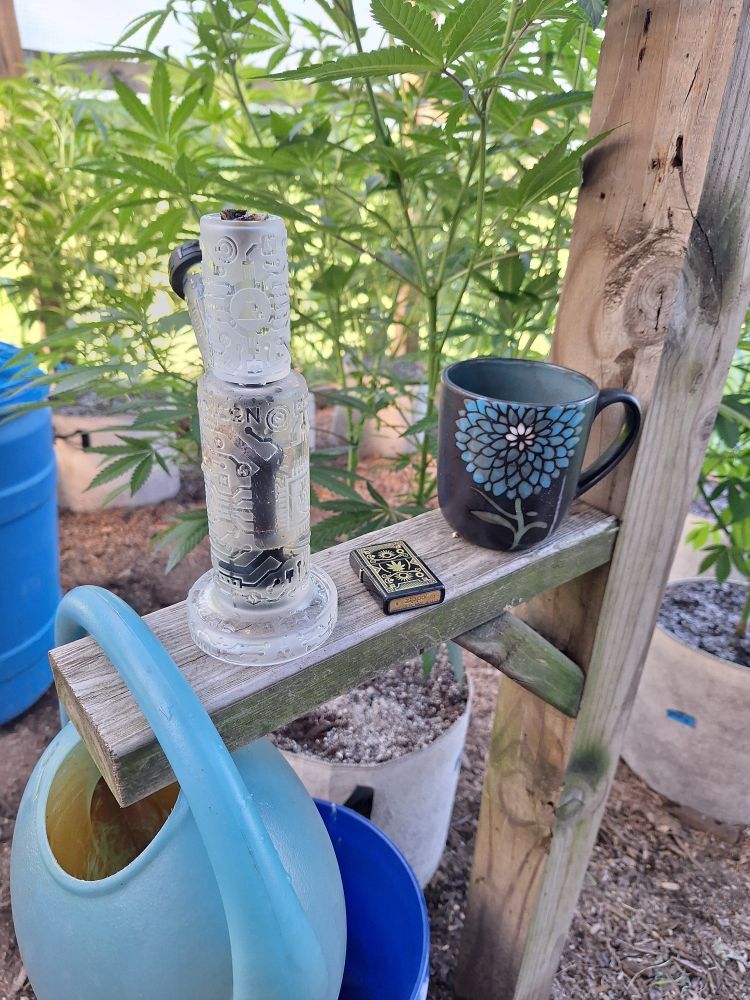 Bubbler and coffee in the greenhouse/chicken run.