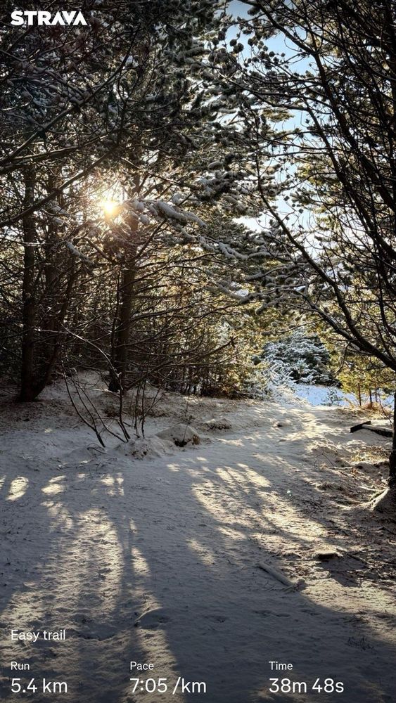 The sun filtered through trees. Text describing a 5.4km run on Strava. 
