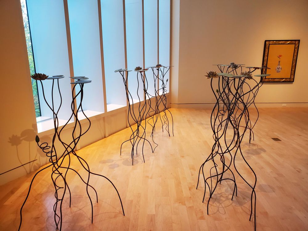 Installation in an art gallery, on a light heavily varnished wooden floor with indirect light from large windows behind. The art is a set of four groupings, each of about half a dozen water lilies made in bronze. The pads and flowers are at about shoulder height, with the intertwined stems going in wiggles down to the floor.