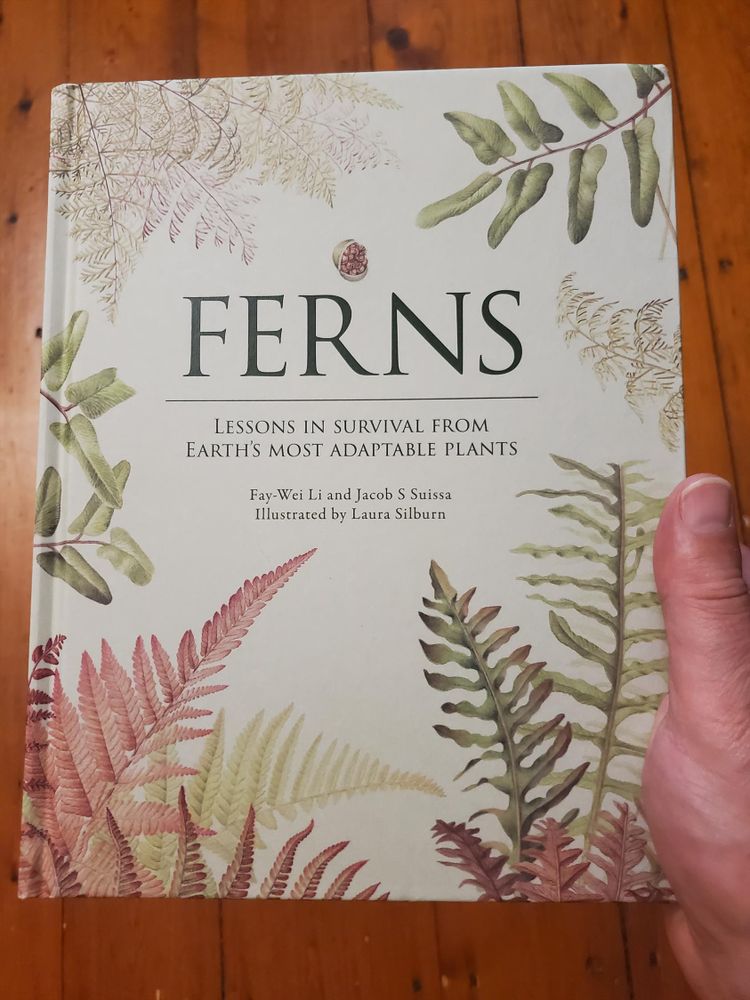 Book cover: Ferns, by Fay-Wei Li and Jacob Suissa. White cover with a variety of gorgeous fern fronds in shades of green and purplish-brown.