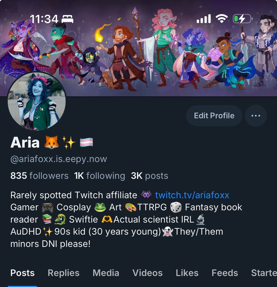 aria's profile which is now mighty nein (critical role) themed 