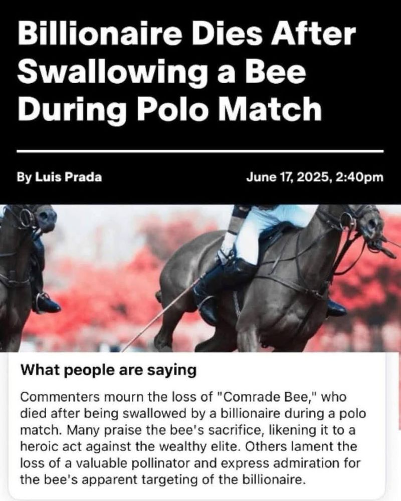 Billionaire Dies After Swallowing a Bee During Polo Match
By Luis Prada
June 17, 2025, 2:40pm
What people are saying
Commenters mourn the loss of "Comrade Bee," who died after being swallowed by a billionaire during a polo match. Many praise the bee's sacrifice, likening it to a heroic act against the wealthy elite. Others lament the loss of a valuable pollinator and express admiration for the bee's apparent targeting of the billionaire.