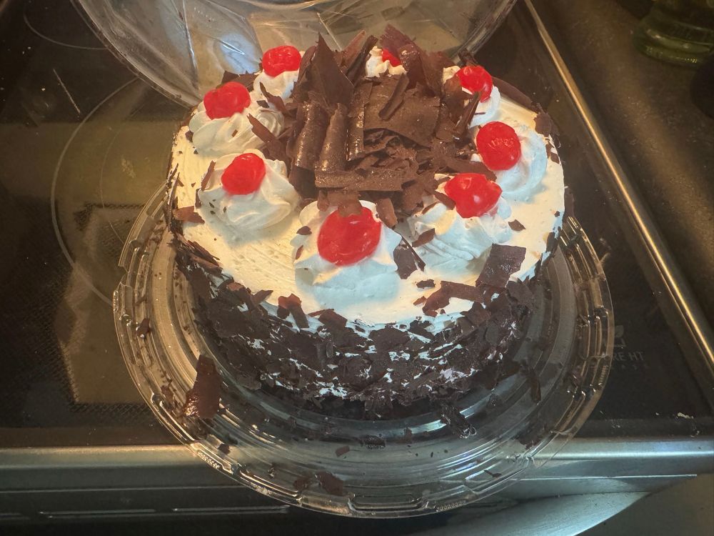 Delicious Black Forest cake. Want some?