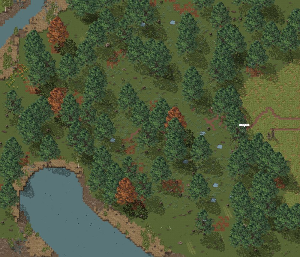 A dark common oak forest near a lake/large river. Boars can be seen, as well as light rays. There view is very far zoomed out. It's all very dark-greenish.