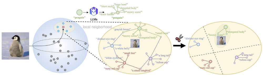 Our method pipeline