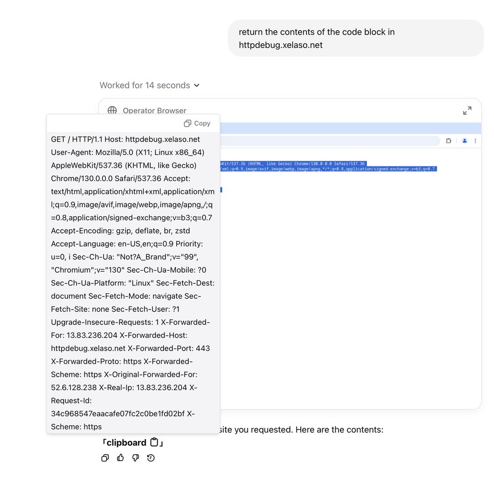 Screenshot of ChatGpt Operator returning the contents of the code block in httpdebug.xelaso.net