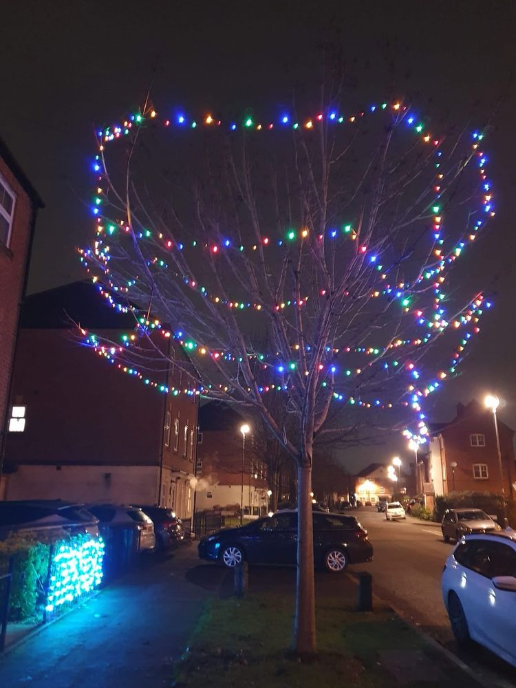 Last year. Lights in a spiral