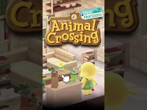 Animal Crossing Decoration Theme