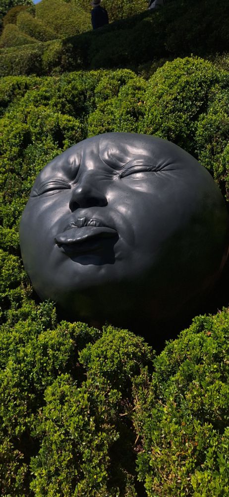Eins der vielen Gesichter im Jardin d'Étretat.