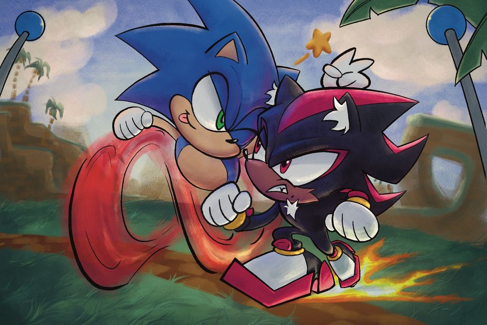 Sonic and shadow racing in green hill