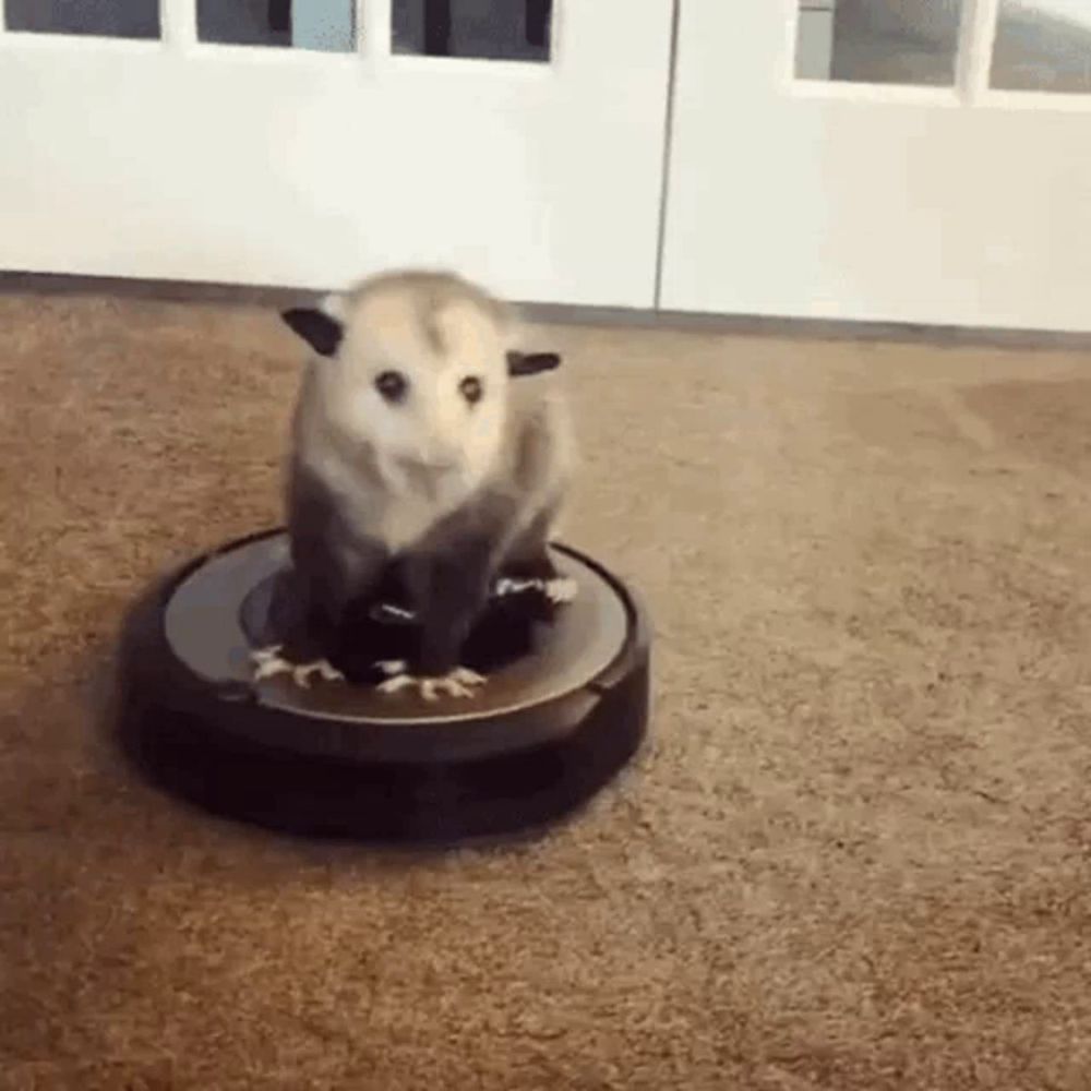 a opossum is sitting on top of a vacuum cleaner .