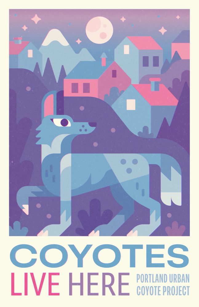 Illustration of a coyote looking back at a hilly neighborhood with a night sky in the background. Text says “Coyotes Live Here — Portland Urban Coyote Project”