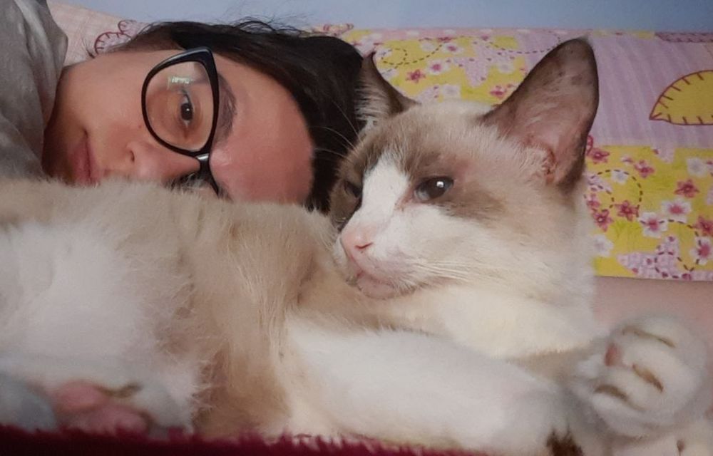 foto na horizontal na qual a gata Visenya, uma sialata, que tem metade do rosto marrom e a outra metade branca, aparece deitada em primeiro plano, olhando para algo a esquerda da imagem. atrás dela, estou eu, deitada, com blusa cinza, óculos de armação preta e cabelo castanho solto. 