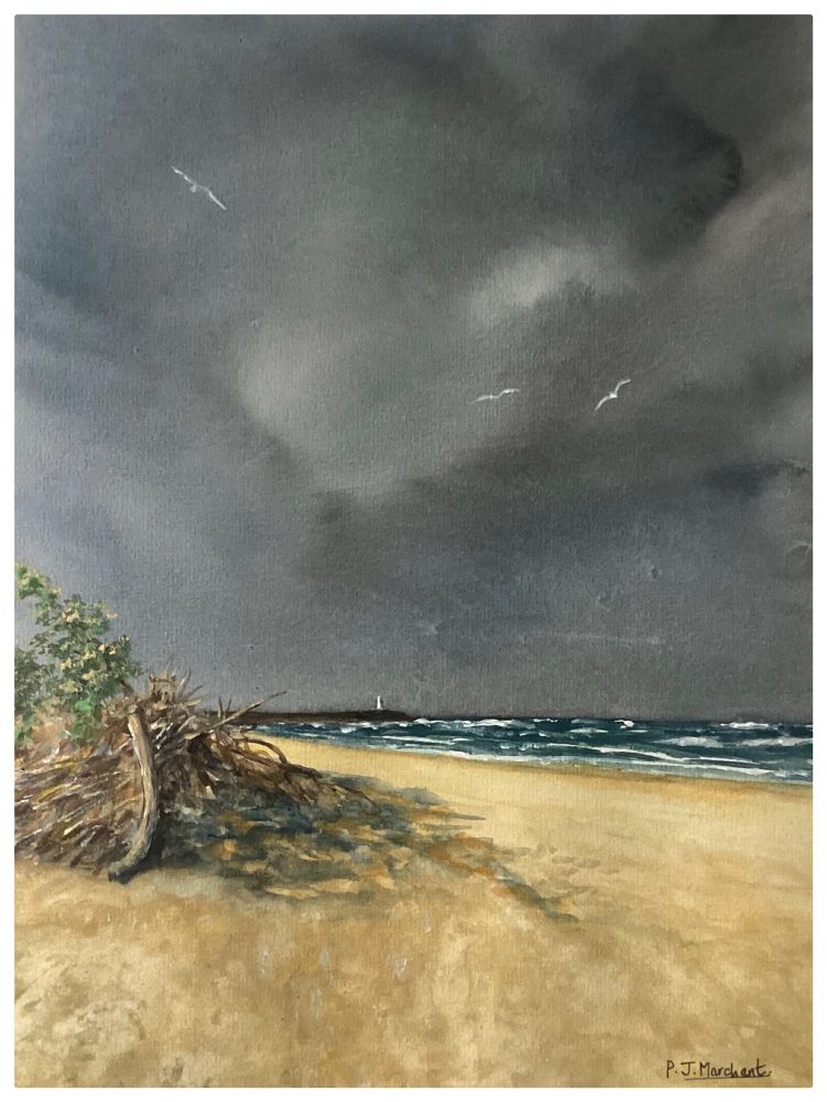 A watercolour painting of a beach with a dark stormy looking sky and white crests on the sea, but the sun is shining and causing shadows from a pile of branches on the sand. 